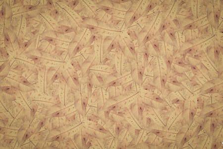 Abstract green leaf texture, nature background, tropical leafの写真素材