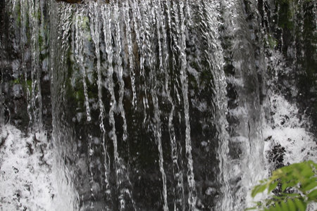 Waterfall in the forest. Waterfall in the forest. Waterfall in the forest
