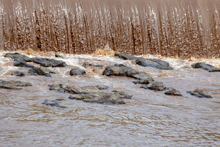 Rocks in the water of the reservoir, closeup of photo