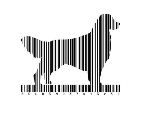 Barcode Art of Golden Retrieverの写真素材