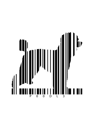 Barcode Art of Poodleの写真素材