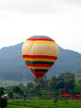 A colorful air balloon is floating carrying passengers to enjoy the tea plantation from the skyの写真素材