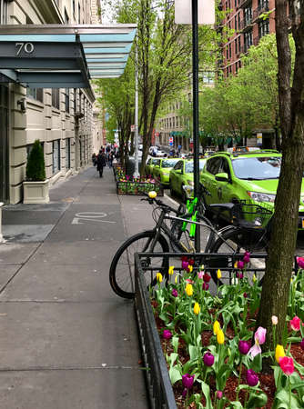 A typical street in New York City. Flowerbed throughout all the streets. The Green Cabs make a perfect combination whit the trees. This was a cold day in spring season. Amazing landscape.の写真素材