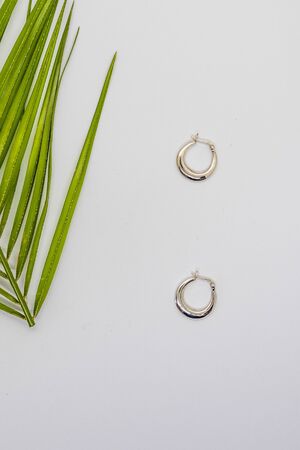 Beauty earrings with green plants in studyの写真素材
