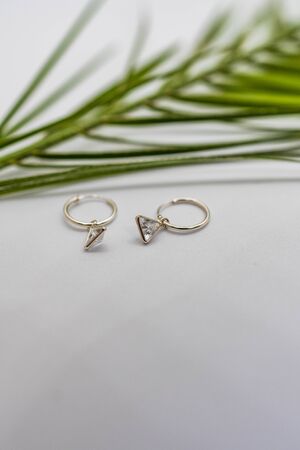 Beauty earrings with green plants in studyの写真素材