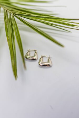Beauty earrings with green plants in studyの写真素材