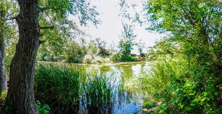 Colorful landscape of the bank of a riverの写真素材