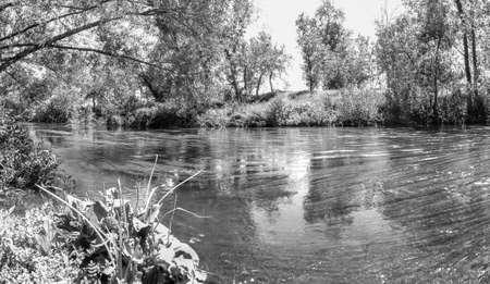 Riverbed Henares in white and blackの写真素材