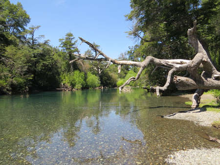 Lake in Patagonia, Argentinaの写真素材