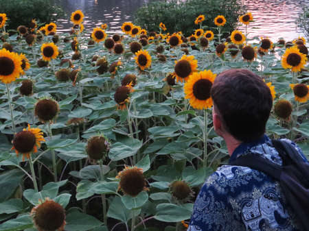 young man observing flowersの写真素材