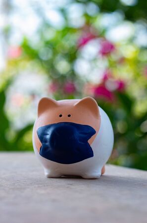 A little pink pig doctor. A cute pig.の写真素材