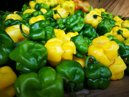 Colorful photograph of a group of Venezuelan hot peppers.の写真素材