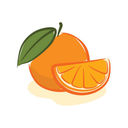 illustration of fresh and sweet orange fruitのイラスト素材