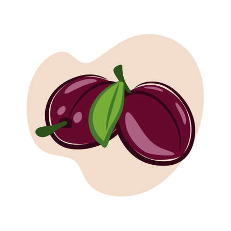 Sweet, delicious, sparkling plumsのイラスト素材