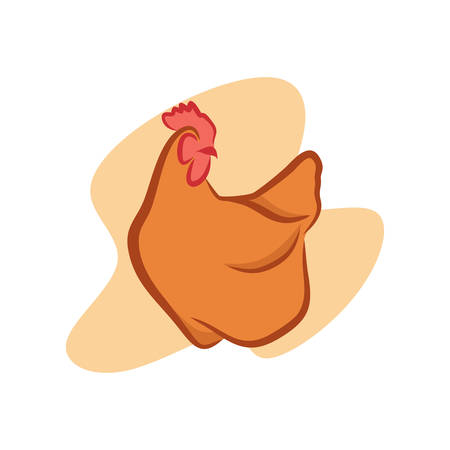 Laying hens in a nice and neat illustrationのイラスト素材