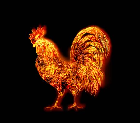 colorful Fire rooster. symbol of the Chinese New Year. Fire bird, red cock. Happy New Year 2017 cardの写真素材