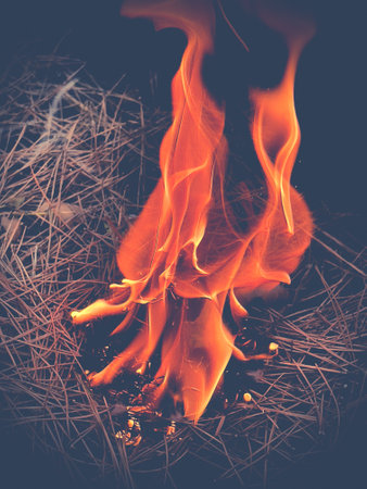 flames of fire on black backgroundの写真素材
