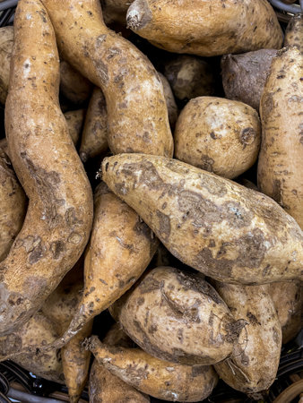 Pile of Indonesian sweet potato , known as Ubi Cilembu or Ubi Manis from West Java , Closeup Viewの写真素材