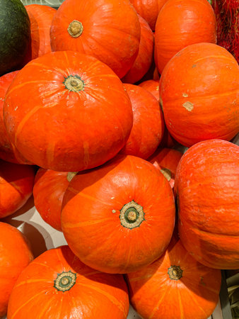 Orange autumn pumpkin on market display no label, halloween season.の写真素材