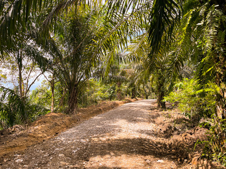 countryside road with gravel aggregate for road structureの写真素材