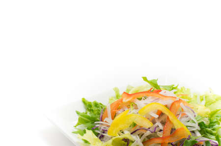 Mixed salad of radish and lettuce and paprikaの写真素材