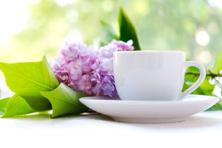 white coffee Cup with a branch of lilac on the background of young greenery. The concept of tenderness and celebration of Valentine's day, mother's day or women's dayの写真素材