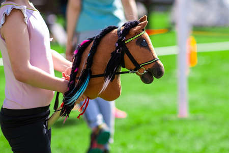 childrens sports entertainment hobby-hosting. horses head on a stick. creativity. Show jumping or dressage.の写真素材