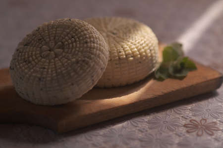 dessert young Adyghe cheese . home production from goat or cows milk. photo with a beam of lightの写真素材