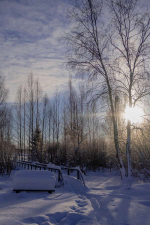 winter frosty vertical landscape. Russian birch, sunlight and bridge.の写真素材