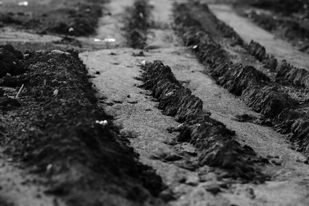 This sand printed of heavy vehicle tiresの写真素材