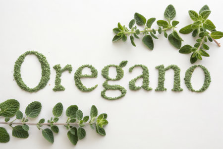 Organic word made from fresh oregano leaves on white backgroundの素材