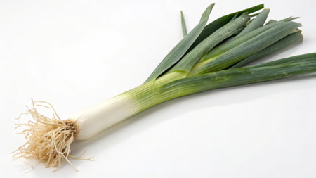 Fresh leek isolated on white background with copy space for text.の素材