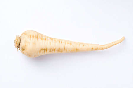 Parsnip isolated on white background. Close-up.の素材