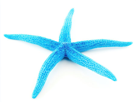 Blue starfish isolated on white background. Clipping path included.の素材