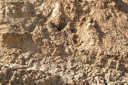 Clay ground inclined slope. Photo made in Russian Sibiria.