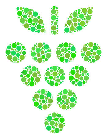Grapes mosaic of dots in variable sizes and fresh green color tones. Vector filled circles are combined into grapes collage. Eco vector illustration.のイラスト素材