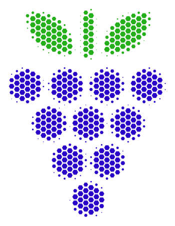Halftone hexagon Grapes icon. Pictogram on a white background. Vector mosaic of grapes icon done of hexagon pixels.のイラスト素材