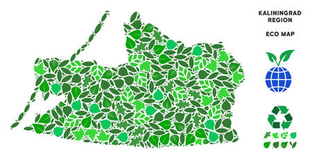 Ecology Kaliningrad Region map mosaic of floral leaves in green color tints. Ecological environment vector concept. Kaliningrad Region map is formed of green floral icons. Abstract area plan.のイラスト素材