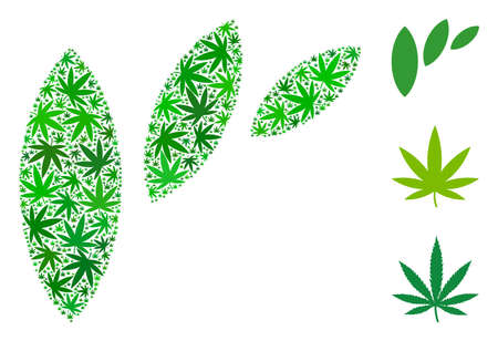 Flora leaf abstraction composition of marijuana leaves in different sizes and green tints. Vector flat marijuana leaves are organized into flora leaf abstraction mosaic. Herbal vector design concept.のイラスト素材