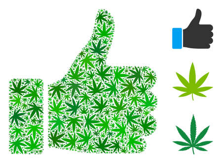 Thumb up composition of hemp leaves in variable sizes and green shades. Vector flat hemp leaves are combined into thumb up composition. Drugs vector illustration.のイラスト素材