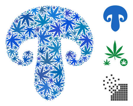 Champignon mushroom collage of hemp leaves in variable sizes and color tones. Vector flat hemp...