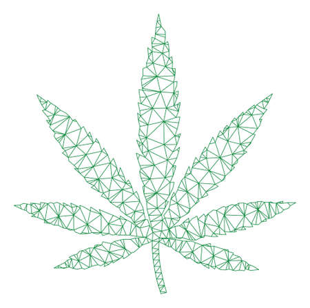 Mesh cannabis leaf polygonal icon vector illustration. Carcass model is based on cannabis leaf flat icon. Triangle net forms abstract cannabis leaf flat carcass.のイラスト素材