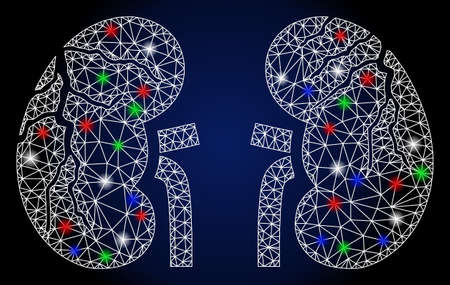 Bright white mesh kidneys cancer with glow effect. Abstract illuminated model of kidneys cancer. Shiny wire carcass triangular mesh kidneys cancer icon.のイラスト素材