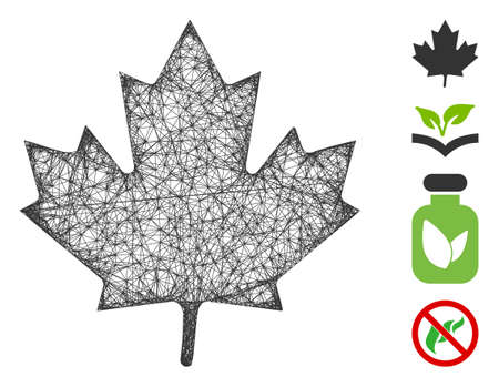 Mesh maple leaf web icon vector illustration. Carcass model is based on maple leaf flat icon. Mesh forms abstract maple leaf flat model. Wire frame flat web network isolated on a white background.のイラスト素材