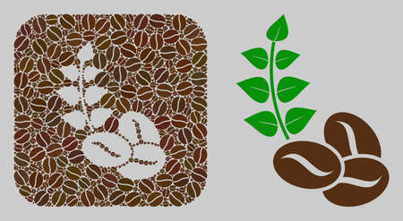 Mosaic organic coffee beans with coffee beans and basic icon. Stencil mosaic organic coffee beans is created of coffee beans. Abstract vector illustrations elements for cafe illustrations.のイラスト素材