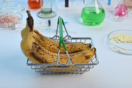 Bananas in small shopping basket ready for food quality control. Tropical fruits in a little metal cart. Two yellow bananas are placed into a small toy shopping metal trolley. The concept of food control for infected fruits.の写真素材
