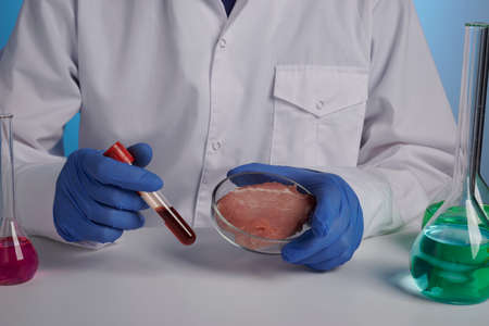 Blood test for synthetic grown meat. Doctor holds vacuum blood test tube and artificial meat in petri dish. Food control concept for fake food production. Victimless pork and beef production of GMO products for vegans. Miocytes culture growth inside glass petri dish. Pork is growing in chemical glassware.の写真素材