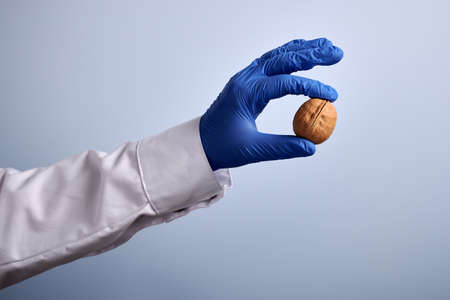 Doctor hand with Greek nut on a light blue gradient background. Hand in blue nitrile glove and white costume. Greek nut between fingers. Source of vegetarian fat. Nurse shows vegan diet ingredient.の写真素材