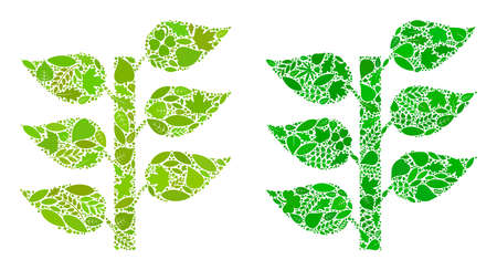 Eco flora plant icon collage of plant leaves in green and natural color shades. Ecological environment vector concept for flora plant icon.のイラスト素材