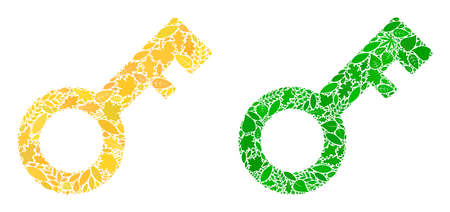 Ecology key icon mosaic of floral leaves in green and natural color hues. Ecological environment vector concept for key icon. Key vector image is formed of green floral parts.のイラスト素材